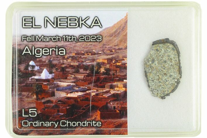 L Chondrite Meteorite ( g) Slice - El Menia #285474